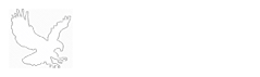 FFN – News You Need To Know Logo